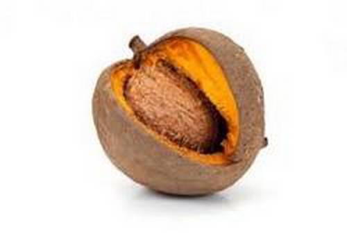 Chair orange et pulpeuse de l'abricot des antilles