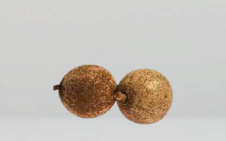 L'abricot-pays, ou abricot des Antilles, entier avec sa peau épaisse