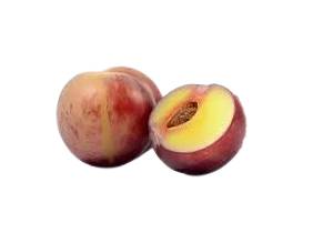 Baies de camu-camu rouge-violacé sur leur branche