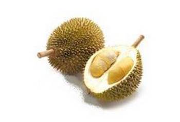 Un durian ouvert révélant ses quartiers de chair crémeuse