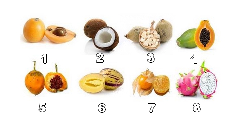 Collection de fruits exotiques iconiques