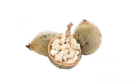 pain de singe coupé