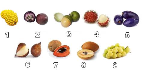 Collection de fruits exotiques aux textures originales