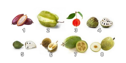 Collection de fruits exotiques aux saveurs uniques