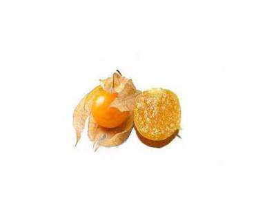 Dovyalis (Groseille du Cap) orange, fruit en D
