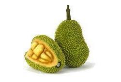 Jacque fruit en forme de poire