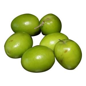 Jujube encore une variété tropicale