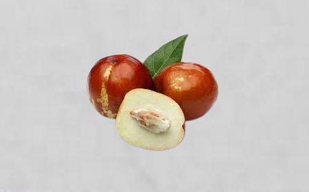 Jujubes frais, le fruit du jujubier