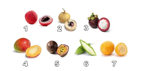 Collection de fruits exotiques doux et charnus