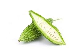 Margose verte verruqueuse (Concombre amer), fruit en M au goût unique