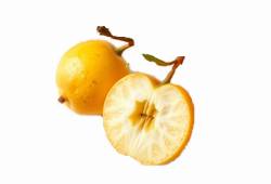 Mirabelles jaunes dorées, petites prunes en M