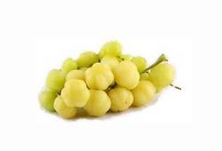 Otaheite gooseberry (Groseille étoilée), fruit tropical en O