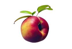 Pêche veloutée et sucrée, fruit d'été en P