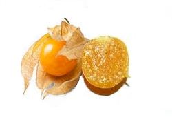 Physalis, fruit orange aussi appelé amour en cage