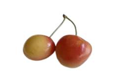 Cerises Queen Anne jaune-rosé, fruit en Q