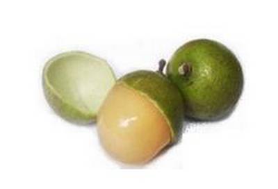 Une quenette ouverte, montrant sa pulpe orange et juteuse autour du noyau