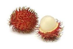Ramboutan, le litchi chevelu