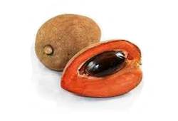 Pulpe de sapote noire ressemblant à du pudding au chocolat