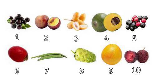 Collection de super-fruits exotiques pour le bien-être