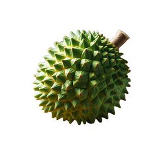 Zatte coupée en deux montrant la chair blanche et les pépins noirs